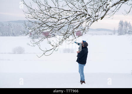 Padre figlio winter wonderland di toccare la neve Foto Stock