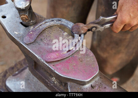 Immagine ritagliata del maniscalco messa a ferro di cavallo Foto Stock