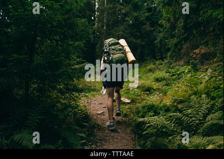 Vista posteriore di un escursionista a piedi su strada sterrata nel mezzo di alberi in foresta Foto Stock