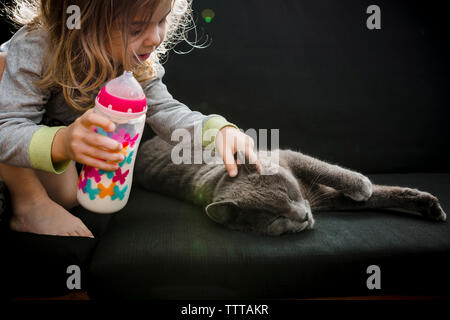 Il toddler girl pacche il suo gatto grigio mentre pet bere latte per esterno Foto Stock