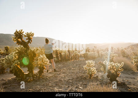 Vista posteriore della donna fotografare attraverso il telefono mobile a Joshua Tree National Park Foto Stock