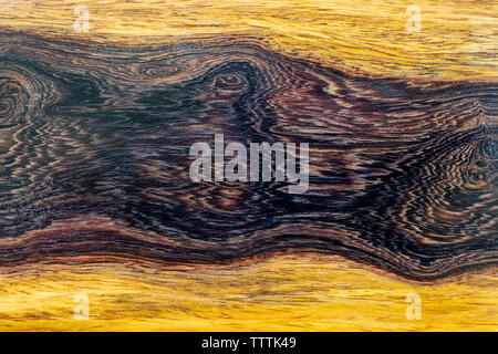 Natura burl a strisce di legno Foto Stock