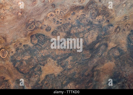 Natura burl a strisce di legno Foto Stock