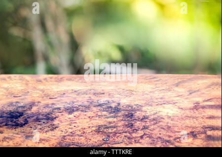 Natura burl a strisce di legno Foto Stock