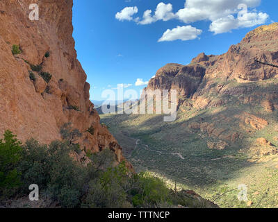 Una splendida vista dal sentiero Estes Canyon, organo a canne Cactus monumento nazionale nel sud-ovest della Arizona in primavera. Foto Stock
