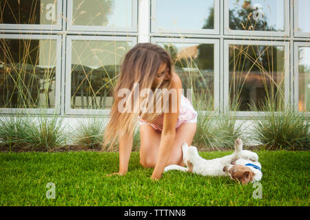 Donna che gioca con il cane sul campo erboso a backyard Foto Stock