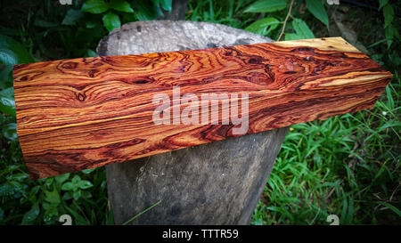 Tronchetti di legno di palissandro birmano, esotica bella boscose pattern per artigianato o dello sfondo Foto Stock