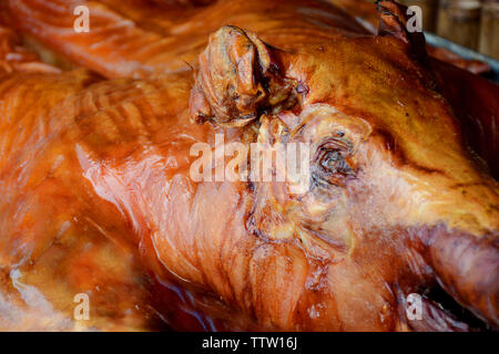 Arrosto di maiale interi in un trattino, cibo cubano splendidi colori Foto Stock