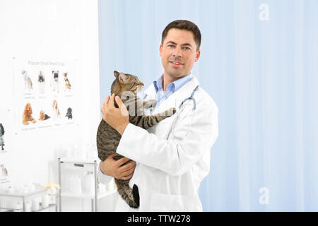 Bel giovane veterinario azienda cat in clinica Foto Stock