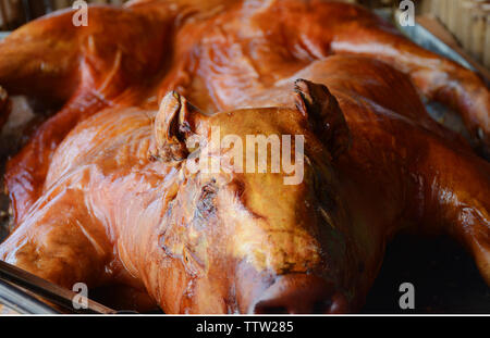 Arrosto di maiale interi in un trattino, cibo cubano splendidi colori Foto Stock