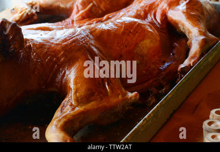 Arrosto di maiale interi in un trattino, cibo cubano splendidi colori Foto Stock