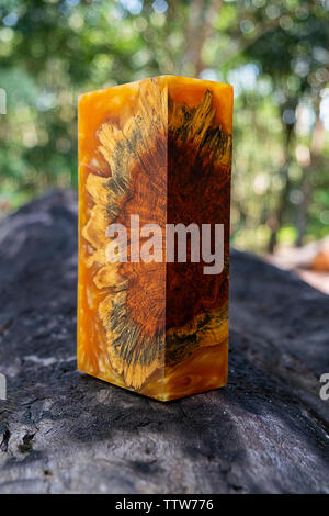 Colata di resina radica di legno Foto Stock