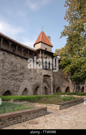 Giardino del Re Danese, Tallinn, Estonia. Secondo la leggenda, questo è il luogo in cui una bandiera è scesa dal cielo durante l'invasione danese. Foto Stock