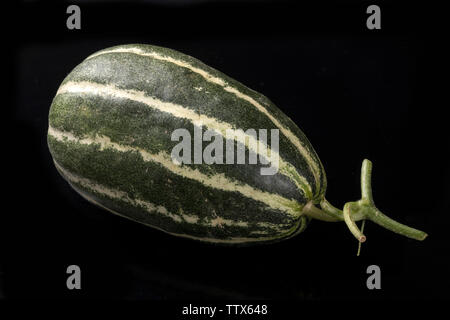 Boyang 9 melone. Foto Stock