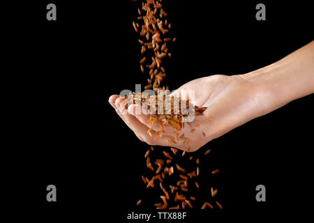 Mano femmina piena di riso rosso su sfondo nero Foto Stock