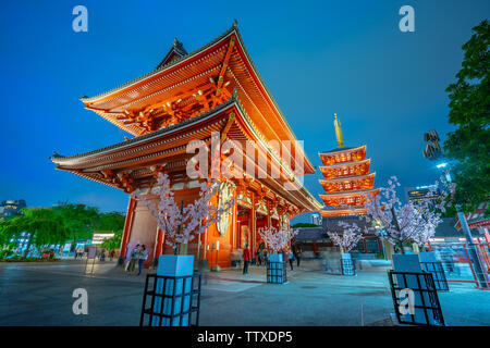 Il Tempio di Senso-ji di notte nella città di Tokyo, Giappone. Foto Stock