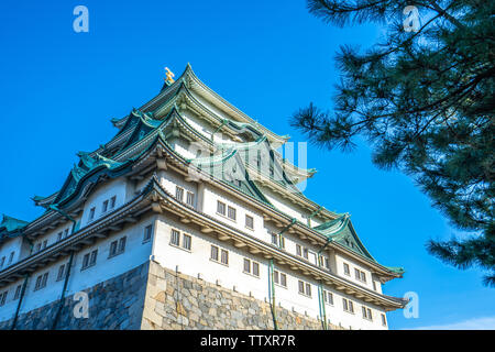 Nagoya, Giappone - 16 Febbraio 2019: mantenere principale del Castello di Nagoya in Nagoya, Giappone. Foto Stock