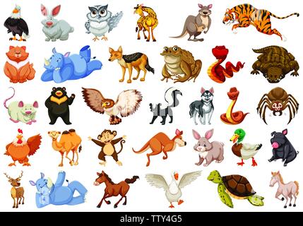 Set di diversi animali illustrazione Illustrazione Vettoriale