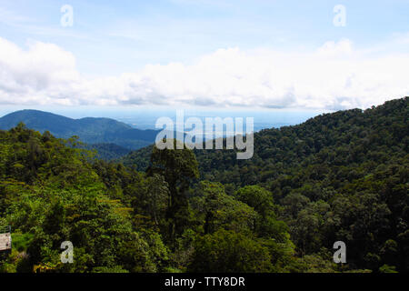 Vista ad angolo alto di una foresta, Isola di Langkawi, Malesia Foto Stock