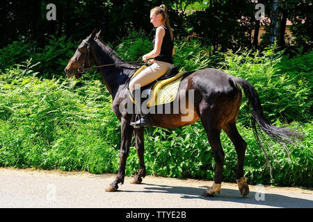 Akhal-Teke cavallo. Muso Akhal-Teke purosangue cavallo, foto all'aperto. Cavalcato da un giovane pilota. San Pietroburgo. La Russia. 06,18 2019 Foto Stock