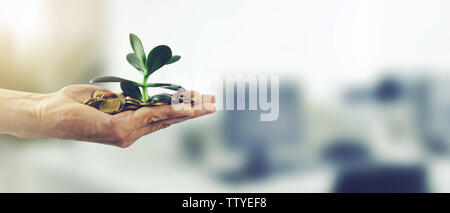 Gli investimenti di denaro il successo aziendale concetto. mano con monete e impianto. spazio copia Foto Stock