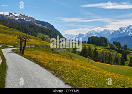 Round lontano guarda la Svizzera Foto Stock