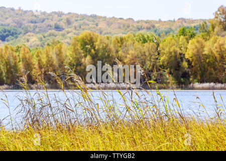 Colore di autunno di Taoshan lago sulla diga del paddock Foto Stock