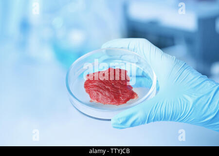 Scienziato holding piastra Petri con campione di carne in laboratorio Foto Stock
