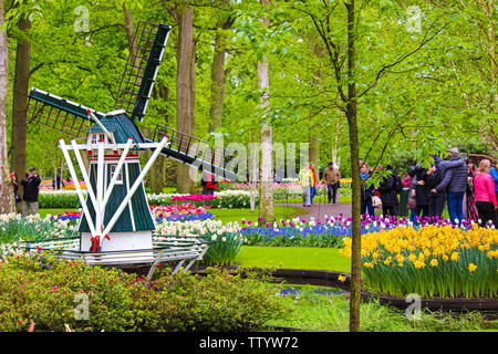 Il Keukenhof Lisse, Paesi Bassi - 28 Apr 2019: Famosi Giardini Keukenhof con mulino a vento, coloratissimi fiori tulipano e visitatori. I tulipani in questo famoso parco sono le principali attrazioni turistiche in Olanda. Foto Stock