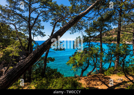 Il pittoresco litorale di tacchino veramente con alberi di verde e azzurro mare Foto Stock