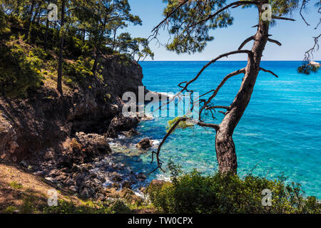 Il pittoresco litorale di tacchino veramente con alberi di verde e azzurro mare Foto Stock