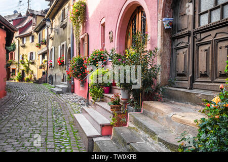 Corsia di ciottoli in Eguisheim, Alsazia, Francia, case della città vecchia lungo il muro della città Foto Stock