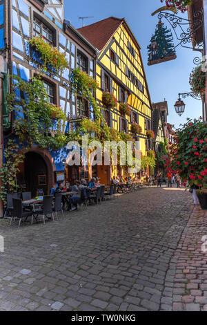 Pittoresche case con travi di legno ricoperta con la vigna, Riquewihr, Alsazia, Francia, historcial vecchio villaggio e sito turistico Foto Stock