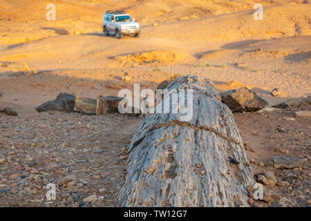 Legno fossile in territorio sudanese ghiaione deserto con un fuoristrada in background Foto Stock