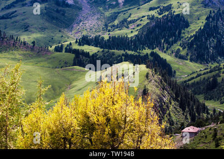 Grand Canyon scenario di Baoqian Gar tempio, Qinghai Foto Stock