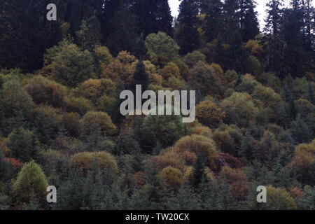 Autunno scenario di montagna Mengpen Foto Stock