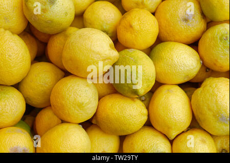 Limoni biologici Foto Stock