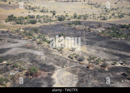 Okavango Delta incendi risultato Foto Stock