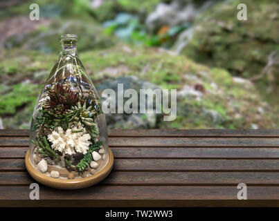 Mini giardino deopration nel vaso di vetro su legno sulla sfocatura dello sfondo della foresta Foto Stock