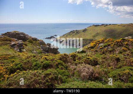 Costa intorno a Starehole Bay, vicino a Salcombe, Devon, Inghilterra. Foto Stock