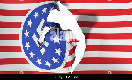 Danneggiato americana bandiera nazista Foto Stock