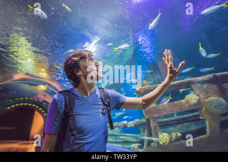 Il turista curioso guardando con interesse su shark nel tunnel oceanarium Foto Stock