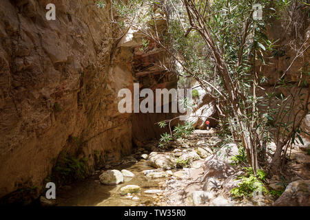 Avakas Gorge canon a Cipro con un piccolo fiume, soleggiato e rocce percorso stretto tra loro. Foto Stock