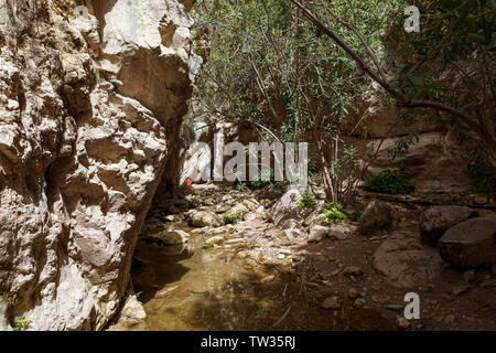 Avakas Gorge canon a Cipro con un piccolo fiume, soleggiato e rocce percorso stretto tra loro. Foto Stock