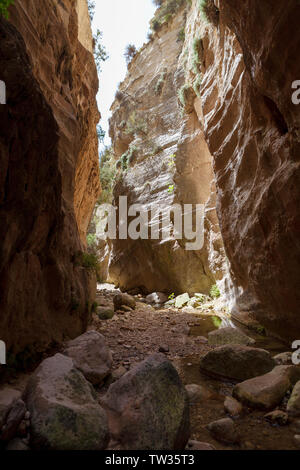 Avakas Gorge canon a Cipro con un piccolo fiume, soleggiato e rocce percorso stretto tra loro. Foto Stock