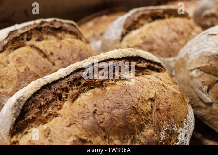 Vicino di casa fatta multigrain pane di pasta acida professionali italiani isolati da forno caldo appena uscito dal forno a legna di vecchio stile traditi sani Foto Stock
