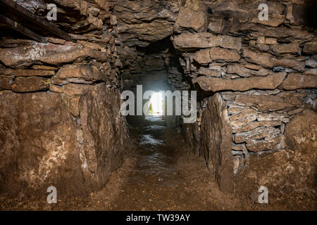 Stoney Littleton Neolitico chambered long barrow vicino Wellow nel Somerset, Regno Unito Foto Stock