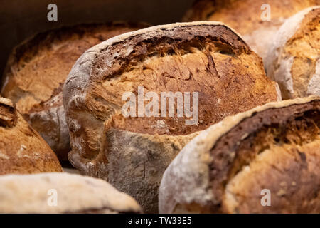 Vicino di casa fatta multigrain pane di pasta acida professionali italiani isolati da forno caldo appena uscito dal forno a legna di vecchio stile traditi sani Foto Stock