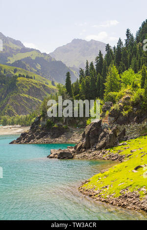 Tianchi Tianshan in estate Foto Stock