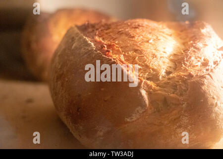 Vicino di casa fatta multigrain pane di pasta acida professionali italiani isolati da forno caldo appena uscito dal forno a legna di vecchio stile traditi sani Foto Stock